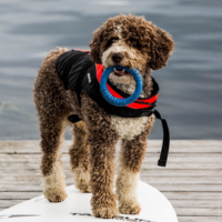 Hundeveste (BALTIC) Hundeveste (BALTIC)